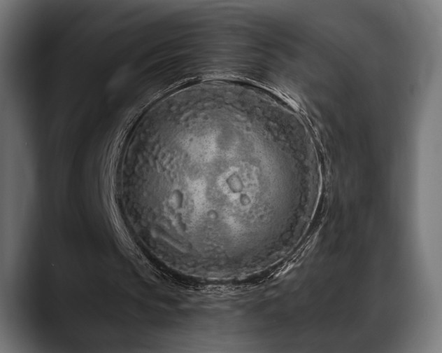 X0000088570145200705251124