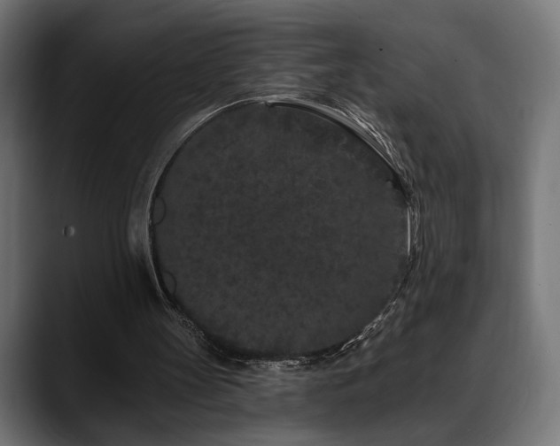 X0000088570147200705251124