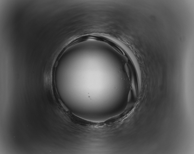 X0000088570148200705251124