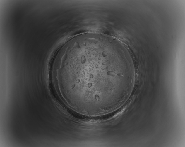 X0000088570149200705251124