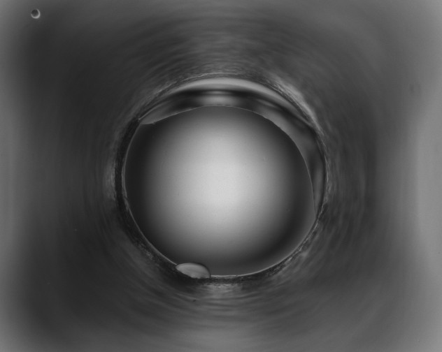 X0000088570154200705251124