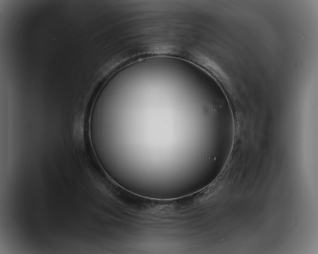 X0000088570155200705251124