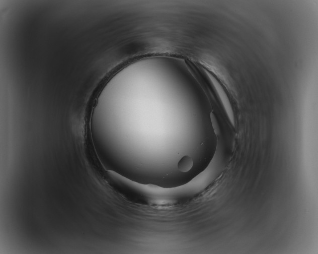 X0000088570156200705251125