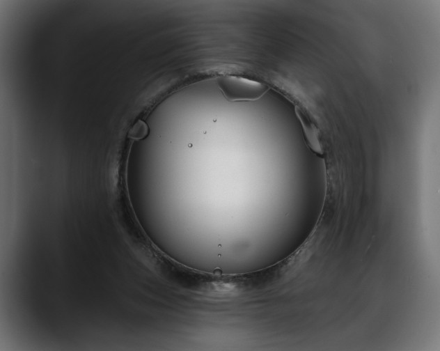 X0000088570159200705251125