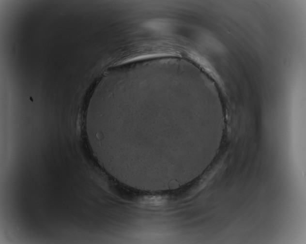 X0000088570161200705251125