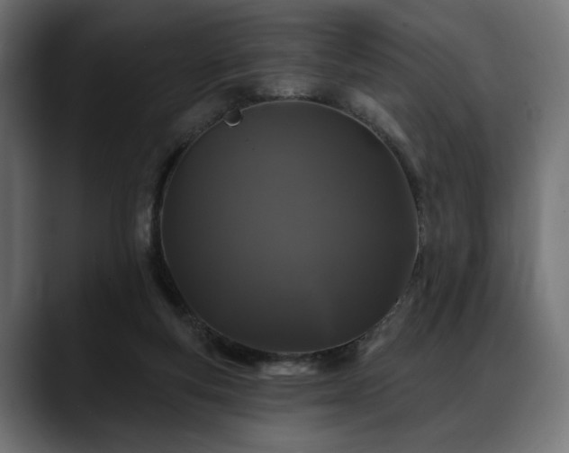 X0000088570163200705251125