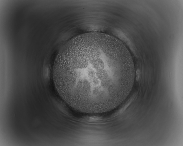 X0000088570165200705251125