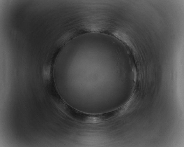 X0000088570167200705251125