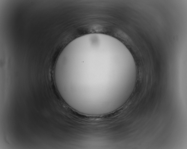 X0000088570169200705251125