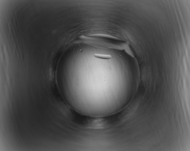 X0000088570173200705251125