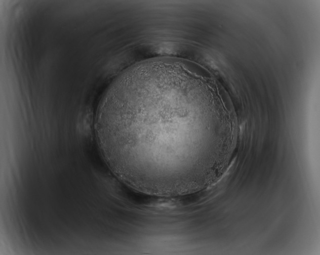 X0000088570175200705251125