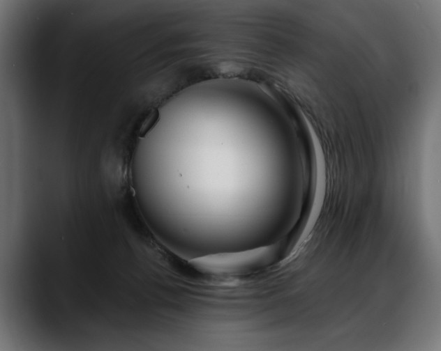 X0000088570176200705251125