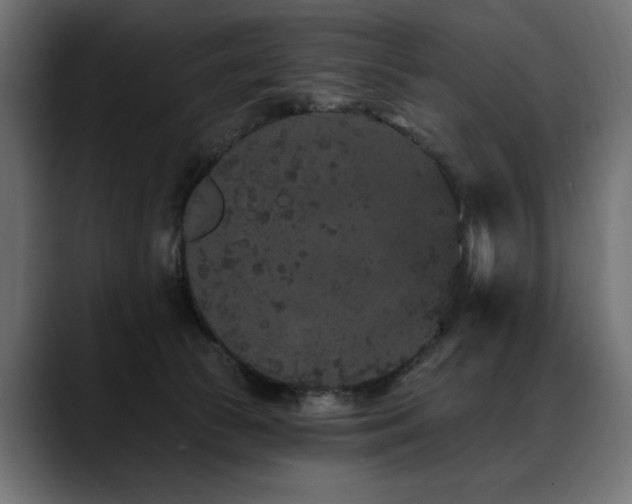 X0000088570177200705251125