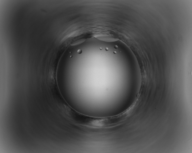 X0000088570178200705251125