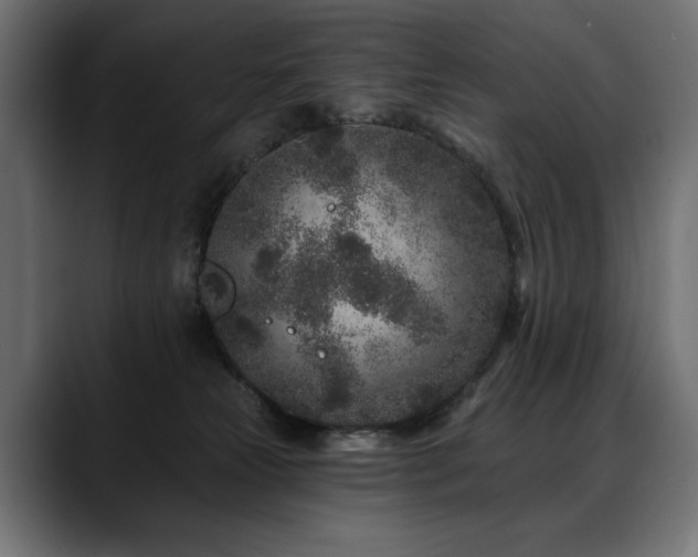 X0000088570181200705251125