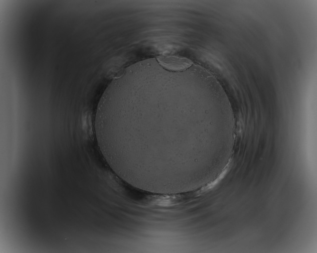 X0000088570182200705251125
