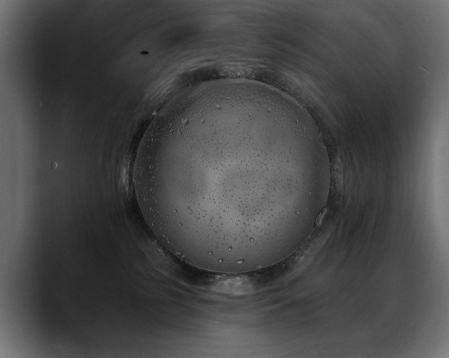 X0000088570185200705251125