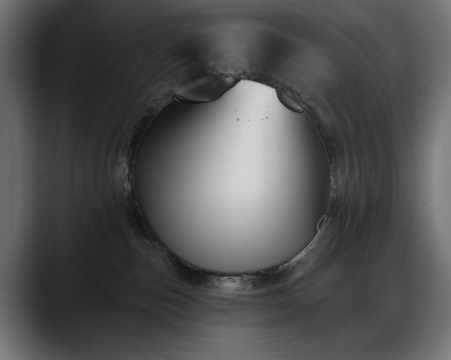 X0000088570187200705251125