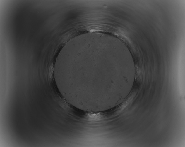 X0000088570189200705251125