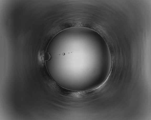 X0000088570190200705251125