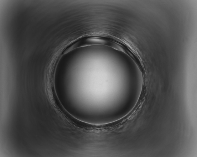 X0000088570193200705251124