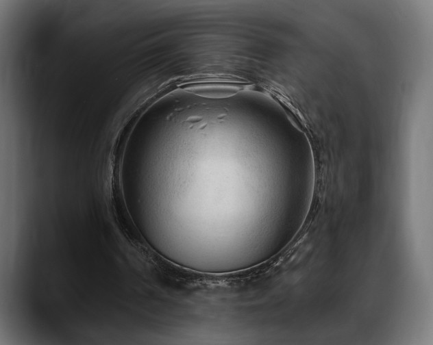X0000088570194200705251124