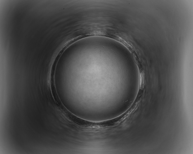 X0000088570195200705251124