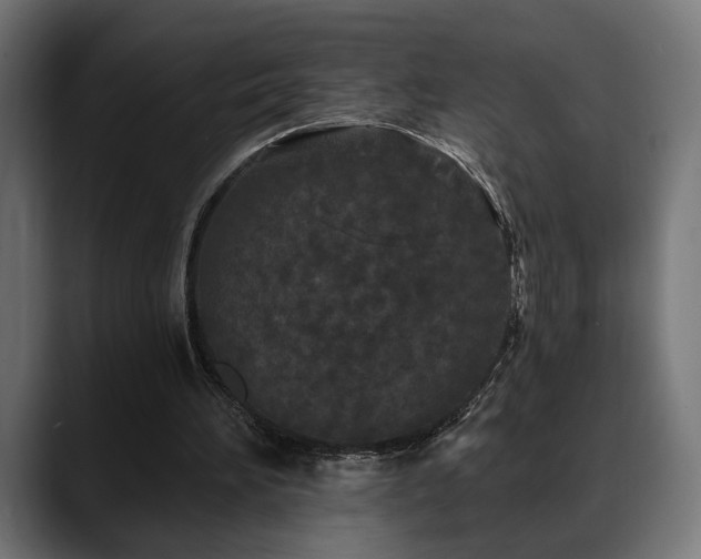 X0000088570196200705251124