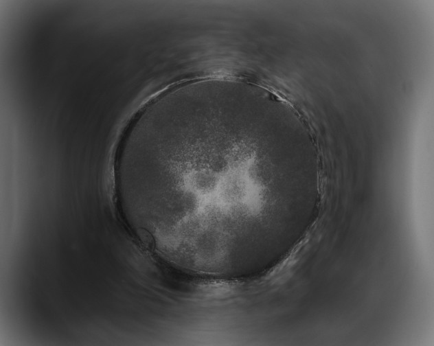 X0000088570198200705251124