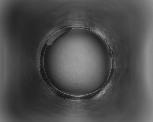 X0000088570199200705251124