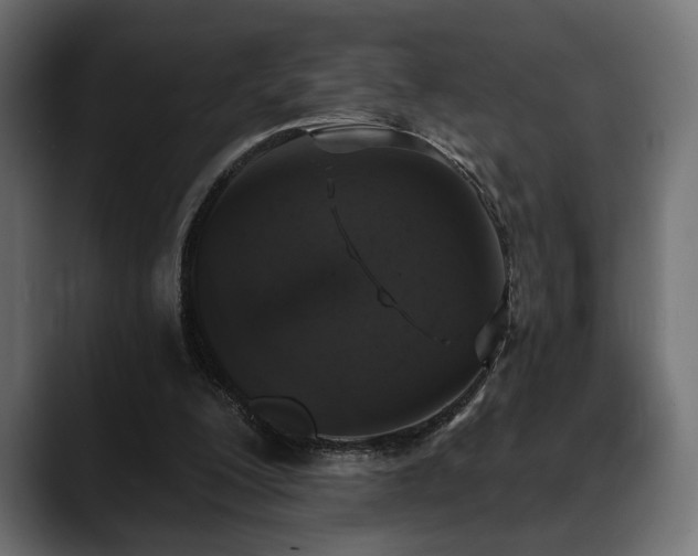 X0000088570200200705251124