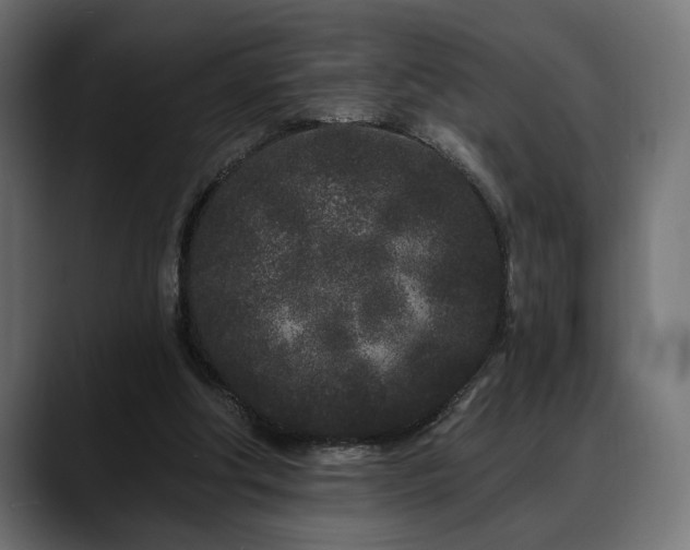 X0000088570202200705251124