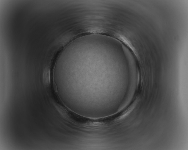 X0000088570205200705251124