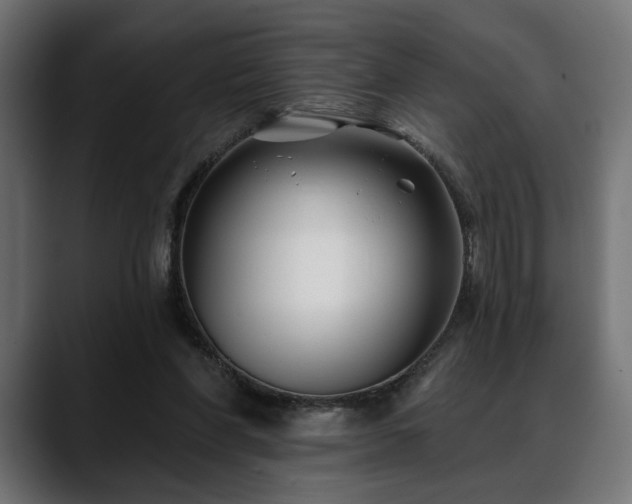 X0000088570206200705251124