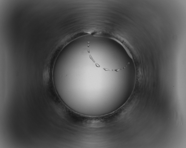 X0000088570208200705251124