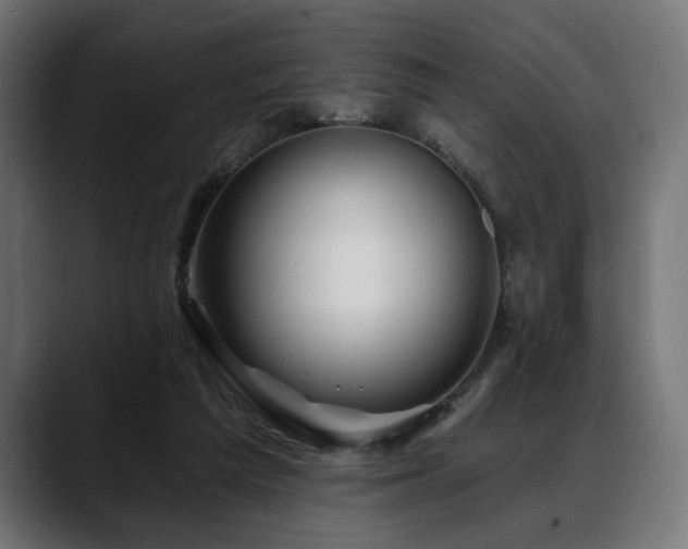 X0000088570209200705251124