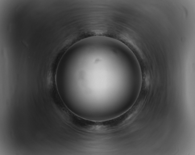 X0000088570212200705251124