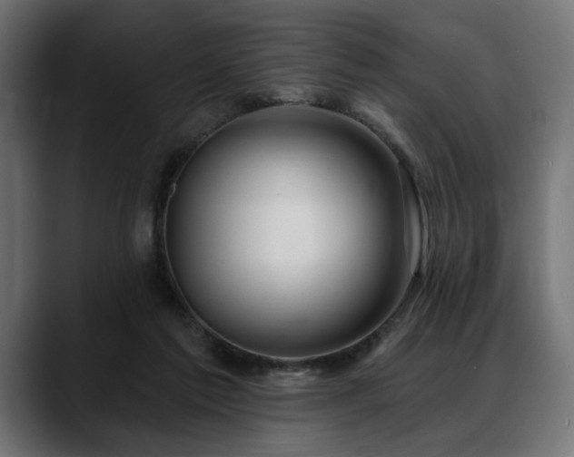 X0000088570213200705251124