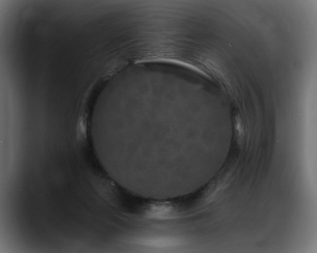 X0000088570214200705251124