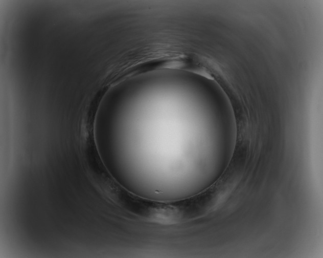 X0000088570215200705251124