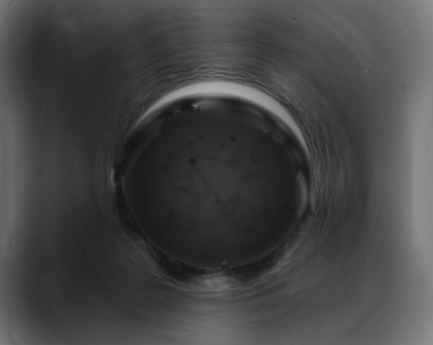 X0000088570219200705251124