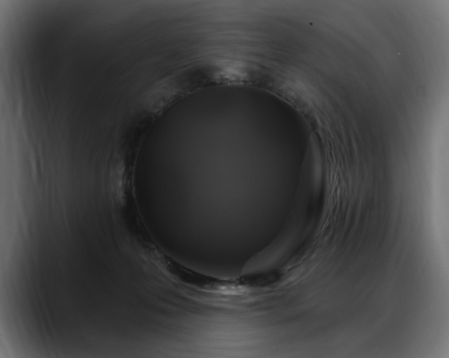X0000088570223200705251124