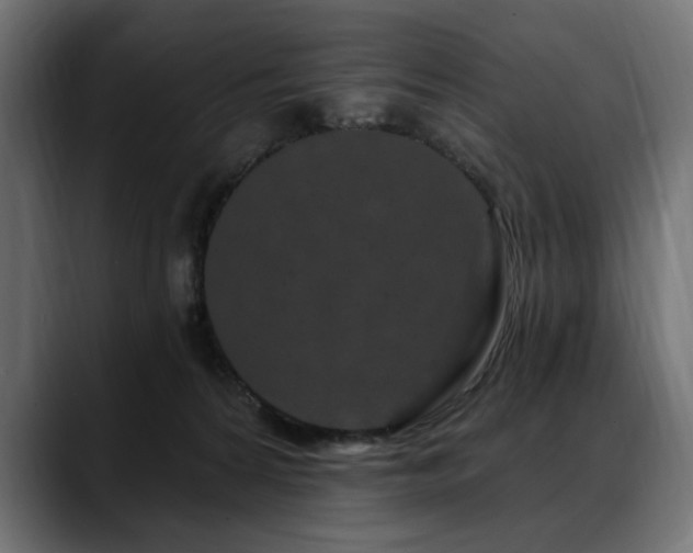 X0000088570224200705251124