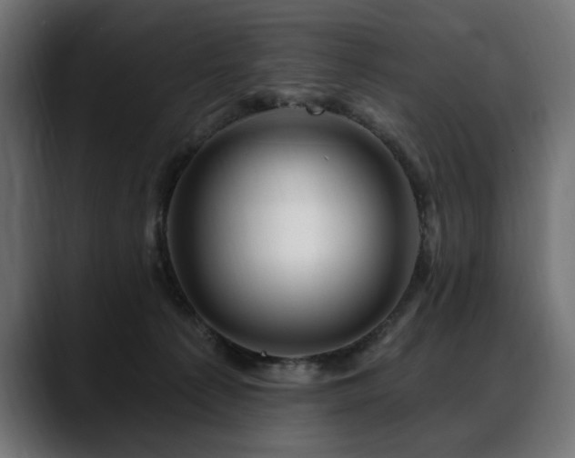 X0000088570225200705251124