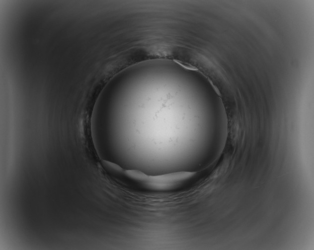 X0000088570229200705251124