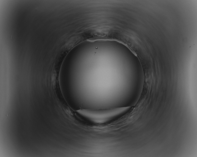 X0000088570231200705251124