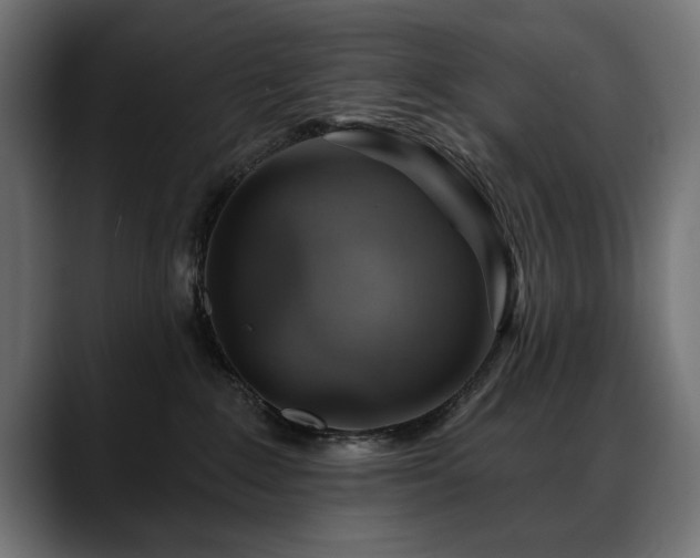 X0000088570235200705251124