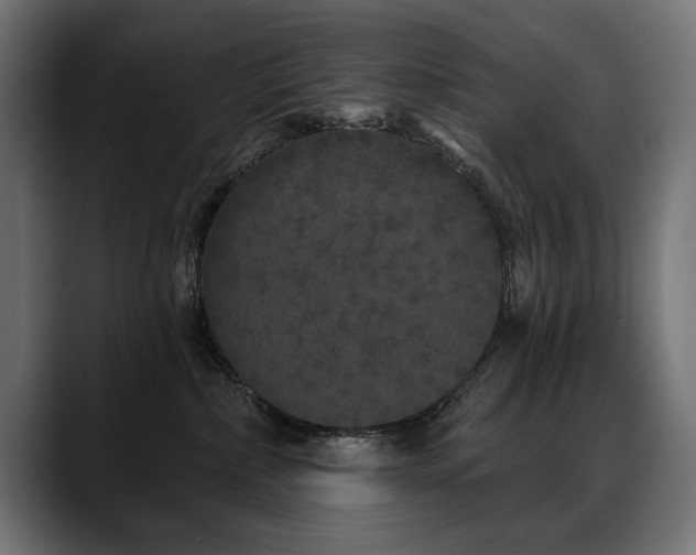 X0000088570236200705251124