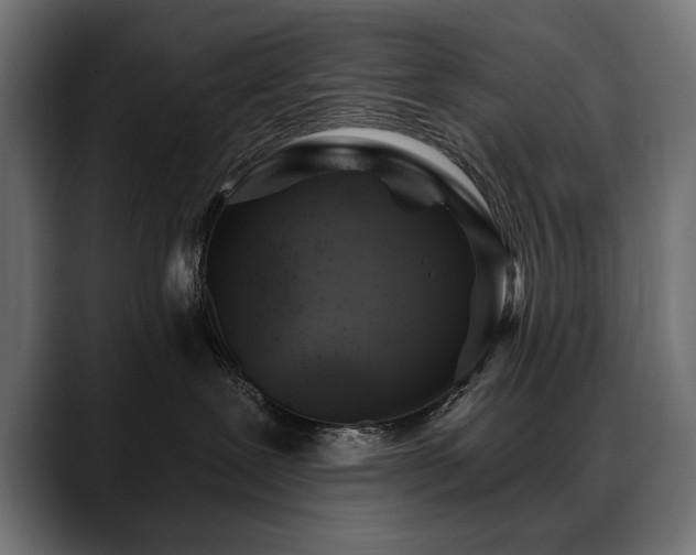 X0000088570239200705251124