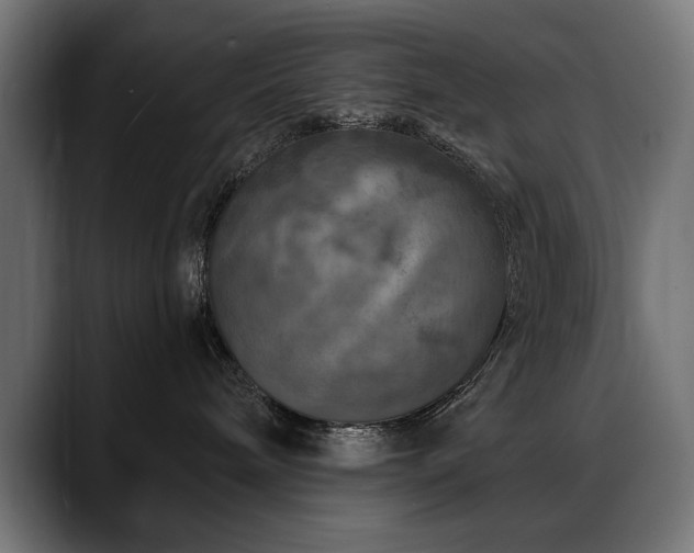 X0000088570240200705251124